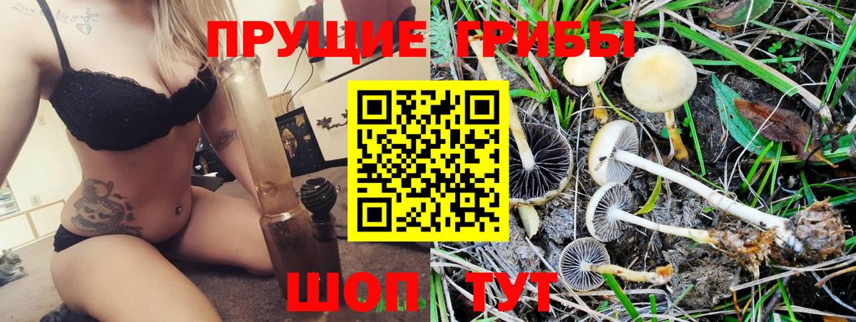 Новочеркасск  Псилоцибиновые грибы прущие грибы  Вход с VPN 